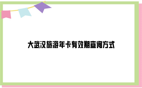 大武汉旅游年卡有效期查询方式