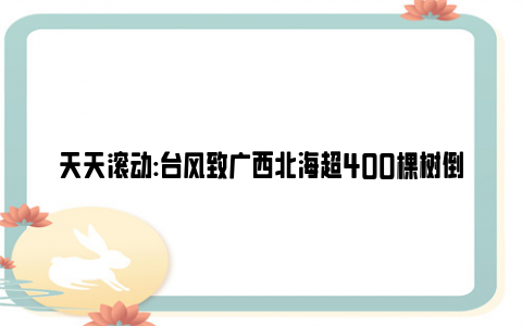 天天滚动:台风致广西北海超400棵树倒伏 这里是“泰利”生命中的最后一站！