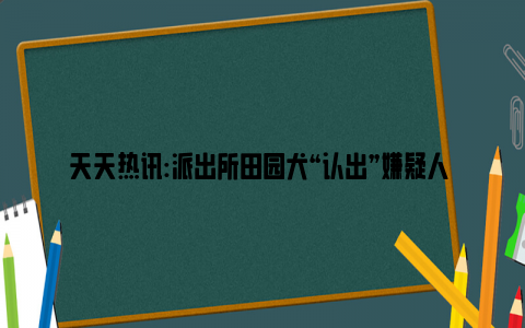 天天热讯:派出所田园犬“认出”嫌疑人 这狗子不知道闻了几斤嫌犯的臭袜子！