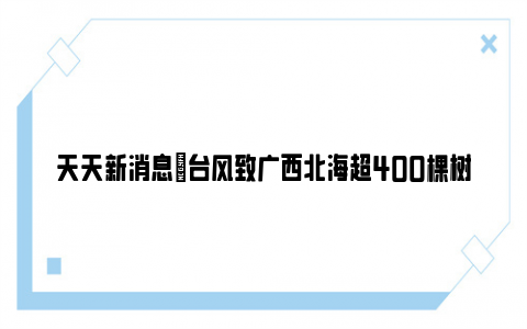 天天新消息|台风致广西北海超400棵树倒伏 工作人员连夜清理树木！！