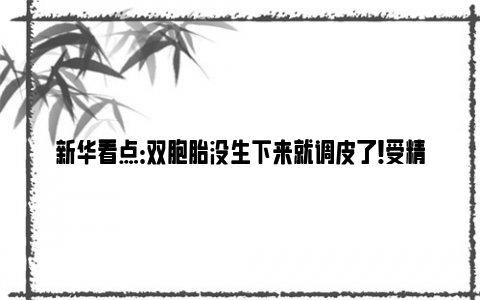 新华看点：双胞胎没生下来就调皮了！受精卵从子宫出逃 在女子直肠安家！