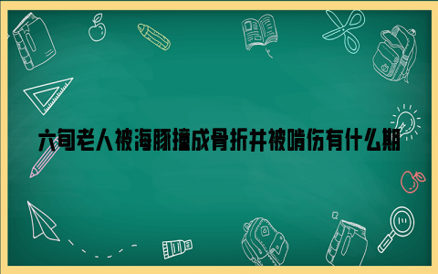 六旬老人被海豚撞成骨折并被啃伤有什么期待呢？