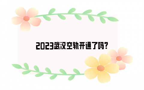 2023武汉空轨开通了吗？