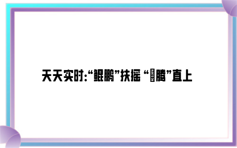 天天实时：“鲲鹏”扶摇 “昇腾”直上 “双中心”助武汉加速奔跑“算力赛道”