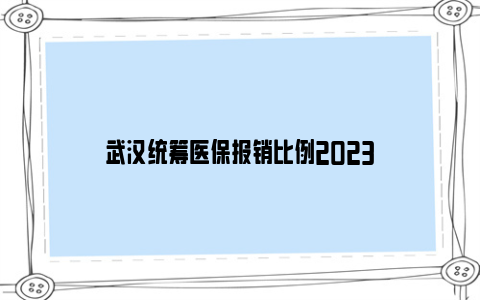 武汉统筹医保报销比例2023