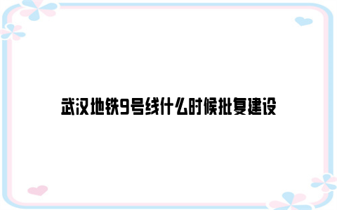 武汉地铁9号线什么时候批复建设