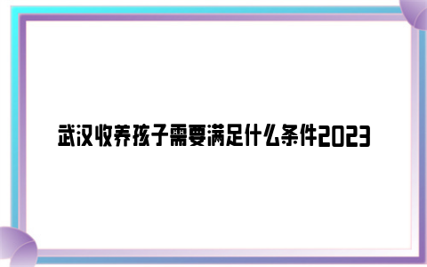 武汉收养孩子需要满足什么条件2023