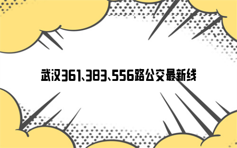 武汉361、383、556路公交最新线路走向