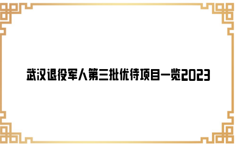 武汉退役军人第三批优待项目一览2023