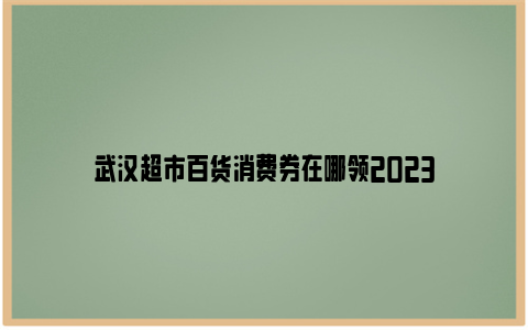 武汉超市百货消费券在哪领2023