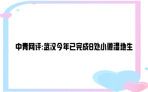 中青网评:武汉今年已完成8处小微湿地生态修复 市民家门口感受湿地美