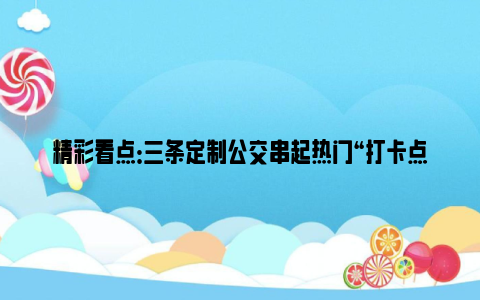 精彩看点：三条定制公交串起热门“打卡点”  游客可一站式游览