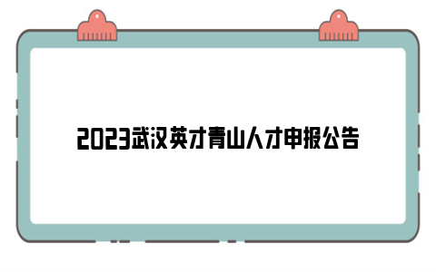 2023武汉英才青山人才申报公告