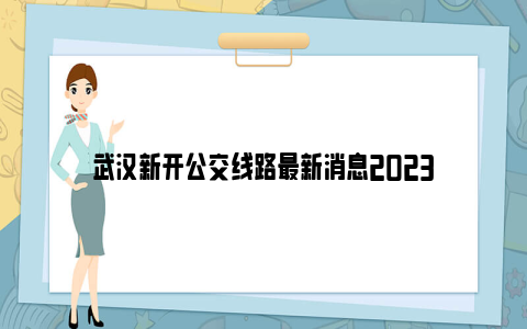 武汉新开公交线路最新消息2023