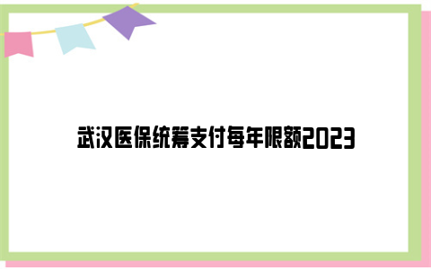 武汉医保统筹支付每年限额2023