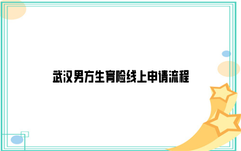 武汉男方生育险线上申请流程