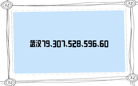 武汉79、307、528、596、607路公交最新线路走向