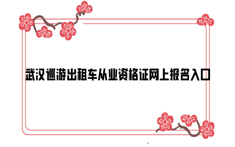 武汉巡游出租车从业资格证网上报名入口