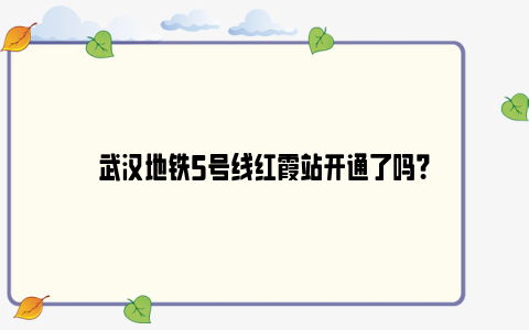 武汉地铁5号线红霞站开通了吗？