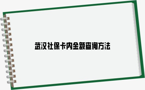 武汉社保卡内金额查询方法