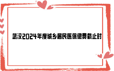 武汉2024年度城乡居民医保缴费截止时间