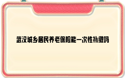 武汉城乡居民养老保险能一次性补缴吗