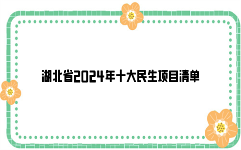 湖北省2024年十大民生项目清单