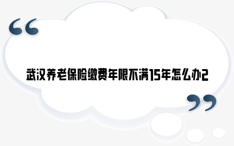 武汉养老保险缴费年限不满15年怎么办2024