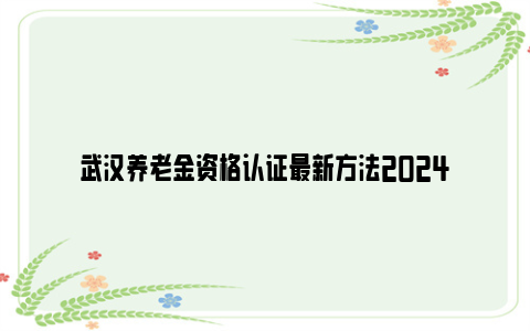 武汉养老金资格认证最新方法2024