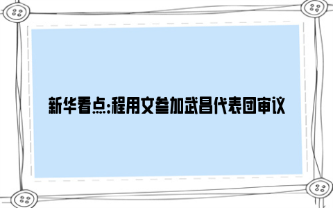 新华看点：程用文参加武昌代表团审议