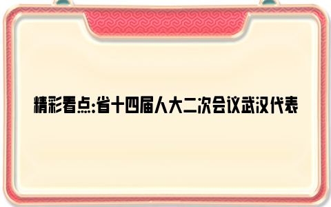 精彩看点：省十四届人大二次会议武汉代表团召开第一次全体会议，推选郭元强为武汉代表团团长