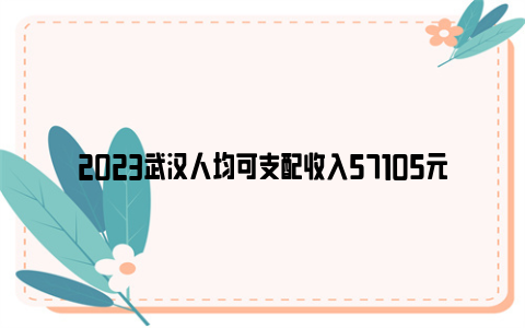 2023武汉人均可支配收入57105元