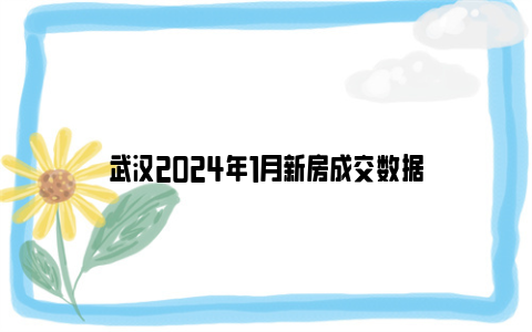 武汉2024年1月新房成交数据