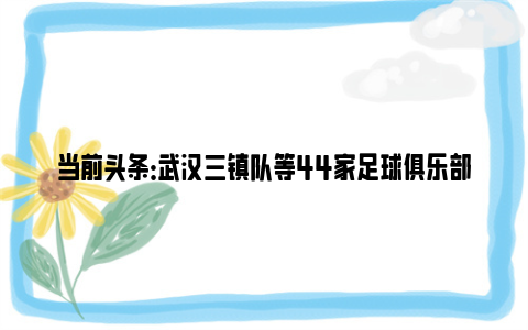 当前头条：武汉三镇队等44家足球俱乐部获2024赛季职业联赛准入资格