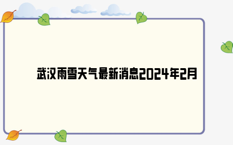 武汉雨雪天气最新消息2024年2月