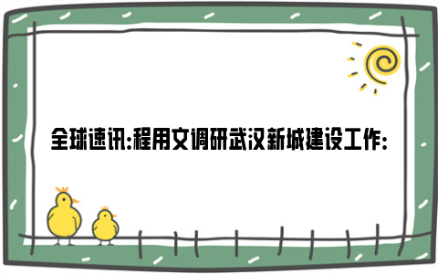 全球速讯：程用文调研武汉新城建设工作：扛牢责任、紧抓快干，加快推动武汉新城建设成势见效