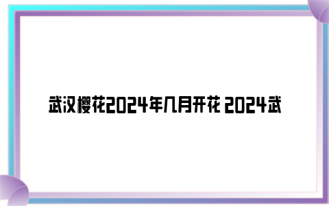 武汉樱花2024年几月开花 2024武汉樱花开了吗