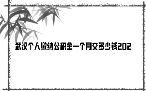 武汉个人缴纳公积金一个月交多少钱2024