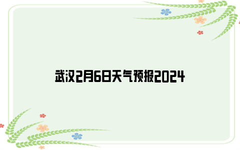 武汉2月6日天气预报2024