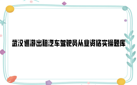 武汉巡游出租汽车驾驶员从业资格实操题库