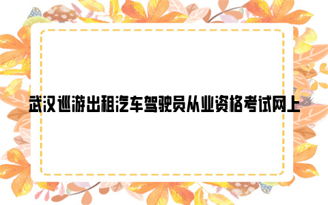 武汉巡游出租汽车驾驶员从业资格考试网上报名入口+报名流程