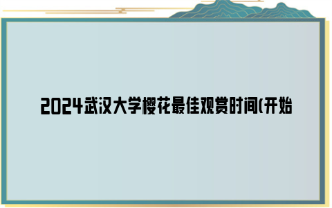 2024武汉大学樱花最佳观赏时间(开始时间+结束时间)