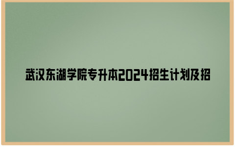 武汉东湖学院专升本2024招生计划及招生专业一览