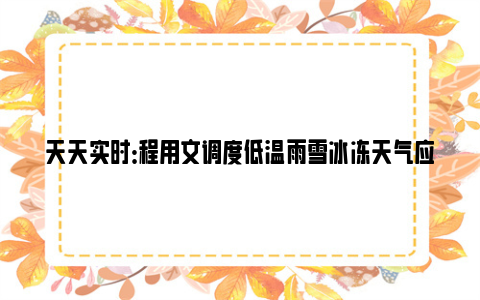 天天实时：程用文调度低温雨雪冰冻天气应对处置工作：全力保畅通保运转保安全，切实维护人民群众生命财产安全和正常生产生活秩序