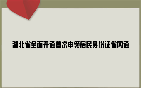 湖北省全面开通首次申领居民身份证省内通办