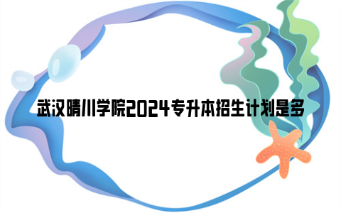 武汉晴川学院2024专升本招生计划是多少？（附招生专业）