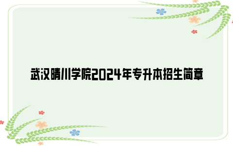 武汉晴川学院2024年专升本招生简章