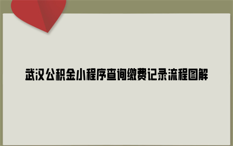 武汉公积金小程序查询缴费记录流程图解