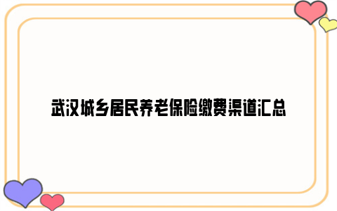 武汉城乡居民养老保险缴费渠道汇总