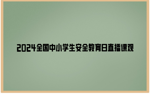 2024全国中小学生安全教育日直播课观后感（三篇）